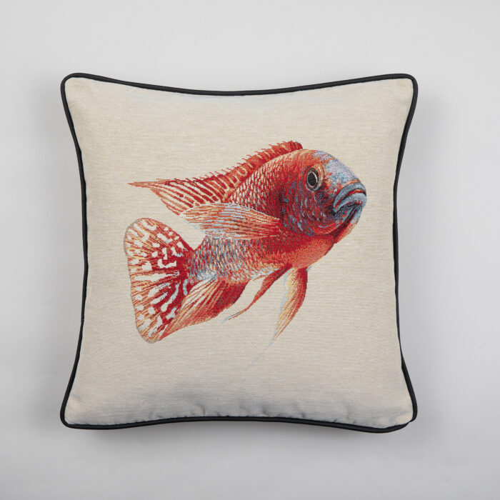 6PW-4545-007-C_49338_1_kiss_064-kala