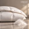Goose Down Duvet “All Seasons” - Image 3